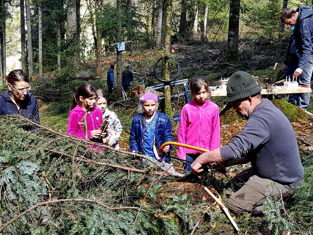 Biomassepotential im Vorderwald: Die Jüngsten sind bei einer Veranstaltung zur Brennholzbörse mit Begeisterung dabei. Biomassepotential im Vorderwald: Die Jüngsten sind bei einer Veranstaltung zur Brennholzbörse mit Begeisterung dabei.