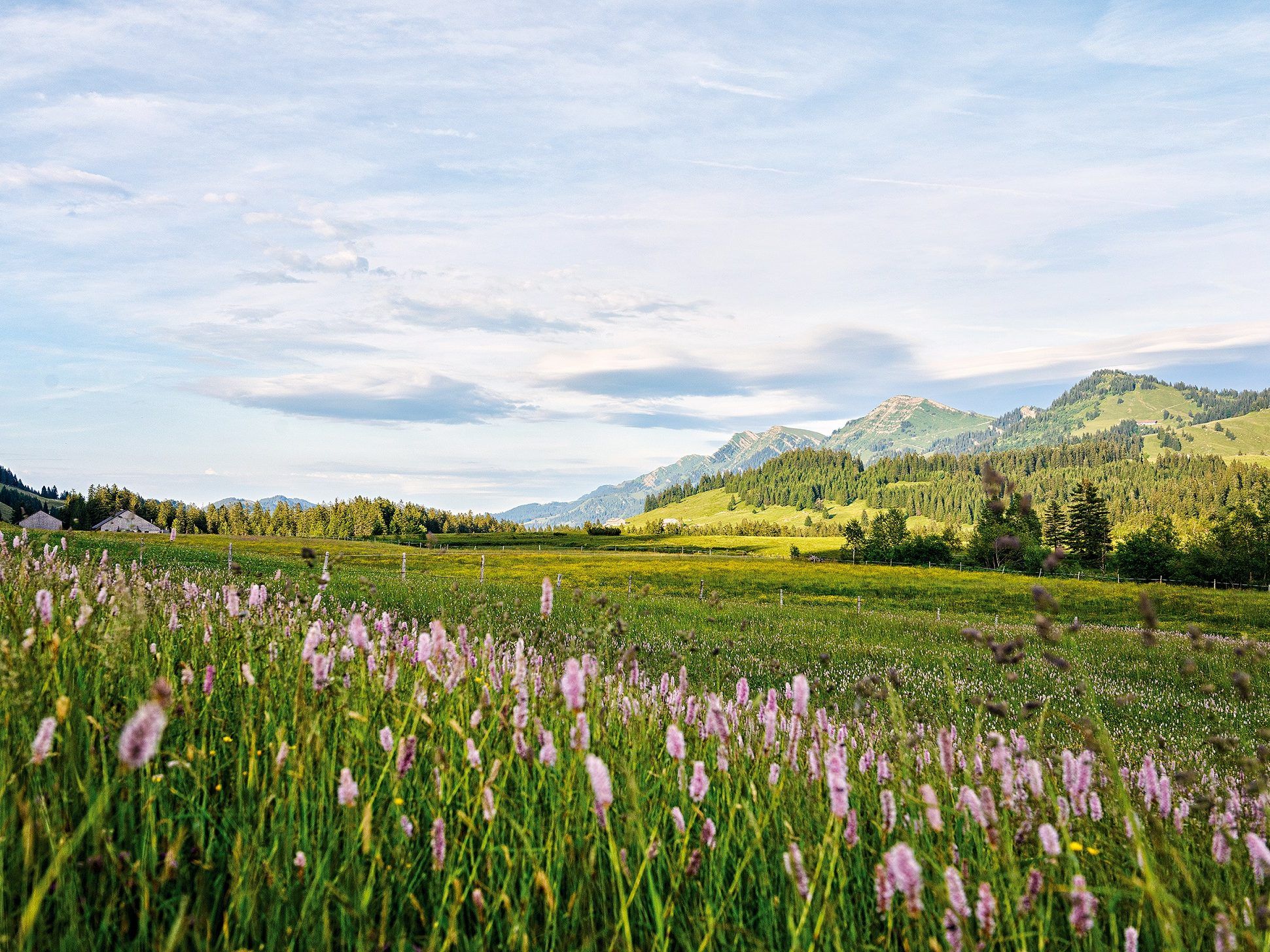 Die Heimat vieler seltener Pflanzen und Tiere ist ein beliebtes Erholungsgebiet und Ausgangspunkt für zahlreiche Wanderungen.