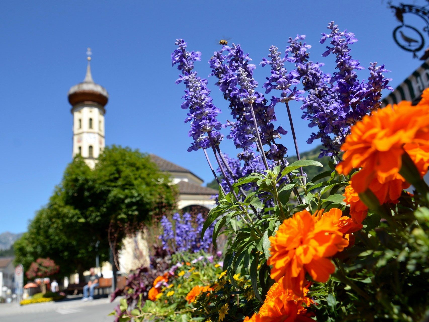 Pfarrkirche Schruns; im Vordergrund Blumen des Hotel Taube