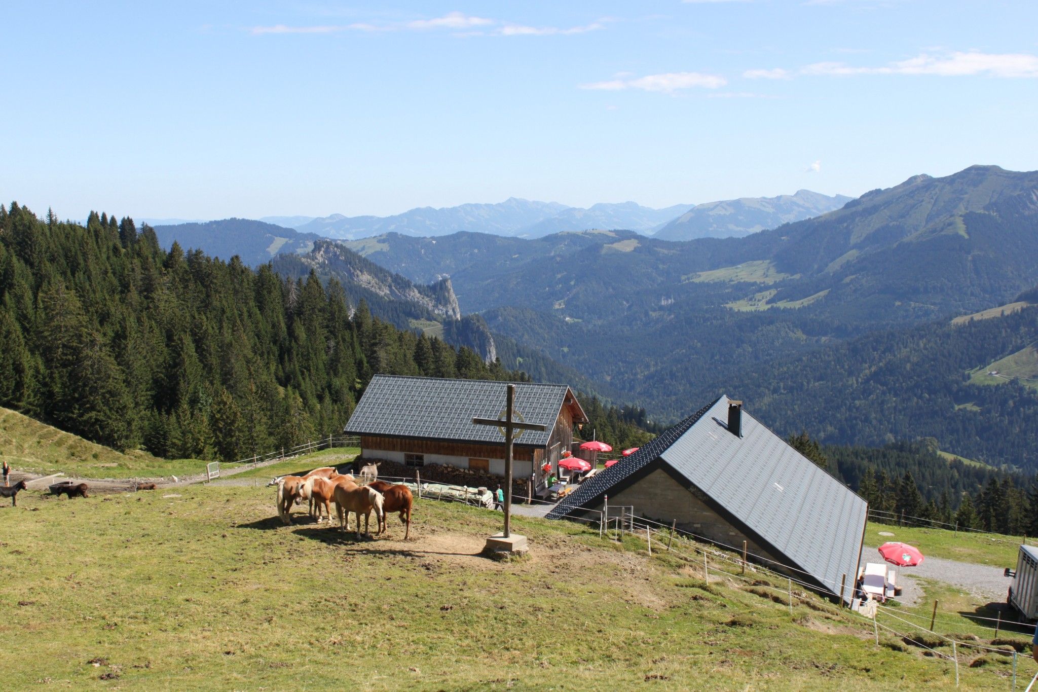 hohe-hugel-alphuette