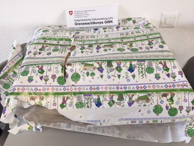 Kartonschachtel mit Marihuana Setzlingen als Geschenk Kartonschachtel mit Marihuana Setzlingen als Geschenk