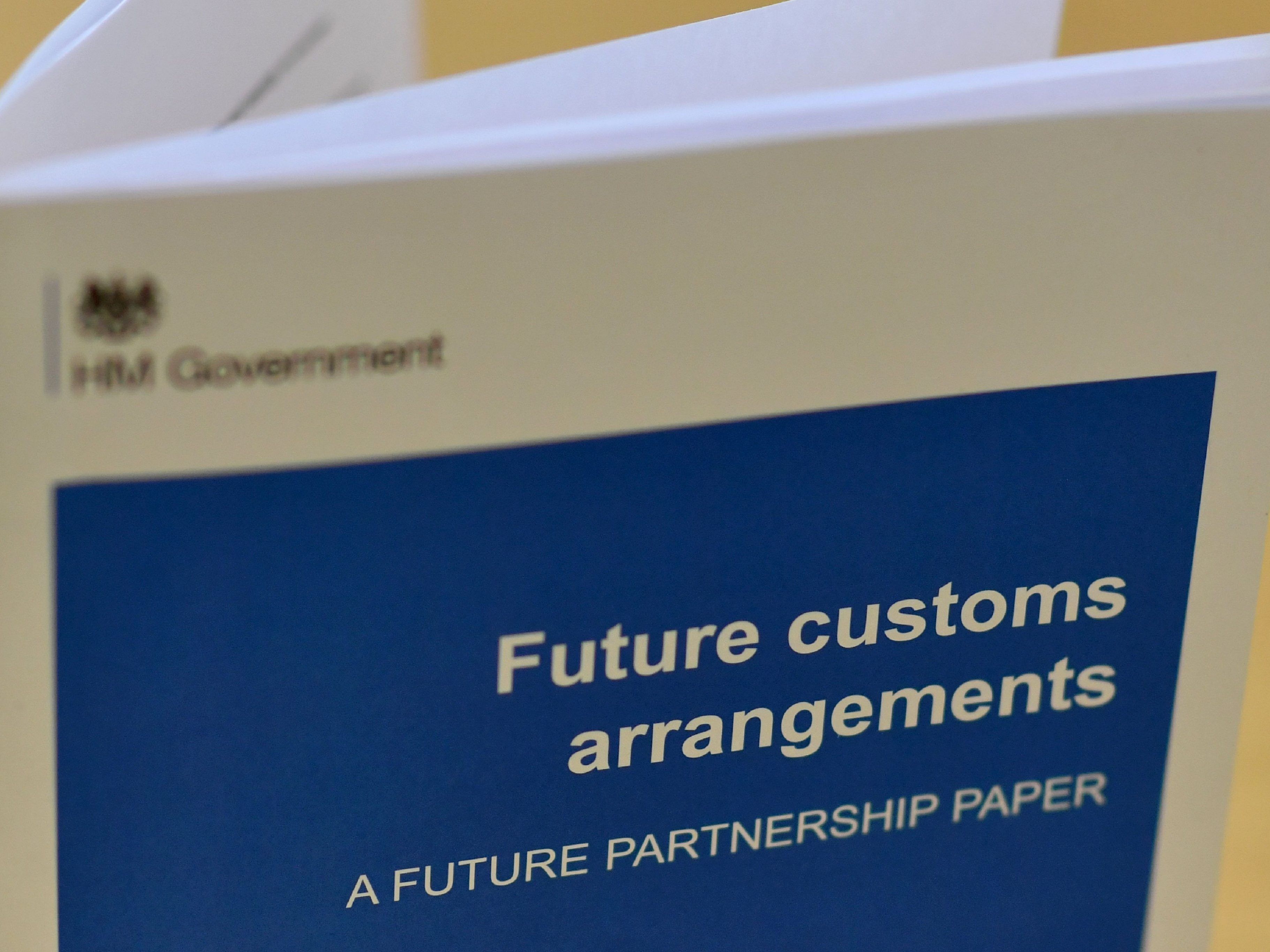 Soll die EU mit den Briten nach dem Brexit ein zeitlich begrenztes Zollabkommen abschließen, das Großbritanniens Wirtschaft einen sanften Übergang ermöglicht?