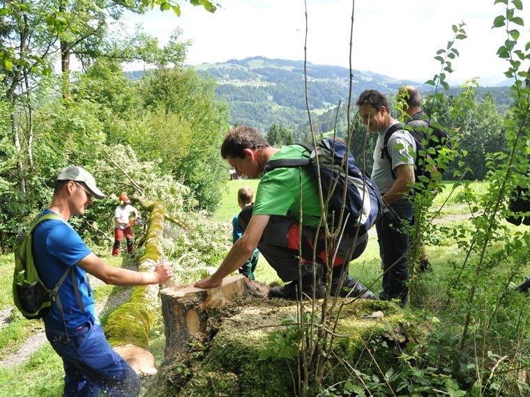 Väter und Kinder erkundeten mit Experte Helmut Muxel die heimischen Baumarten. Väter und Kinder erkundeten mit Experte Helmut Muxel die heimischen Baumarten.
