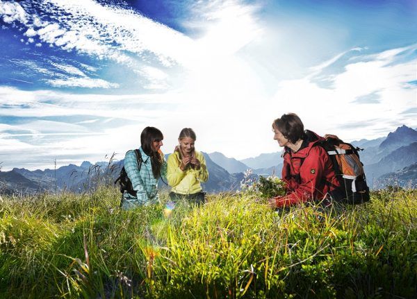 kraeuterwanderung kraeuterwanderung