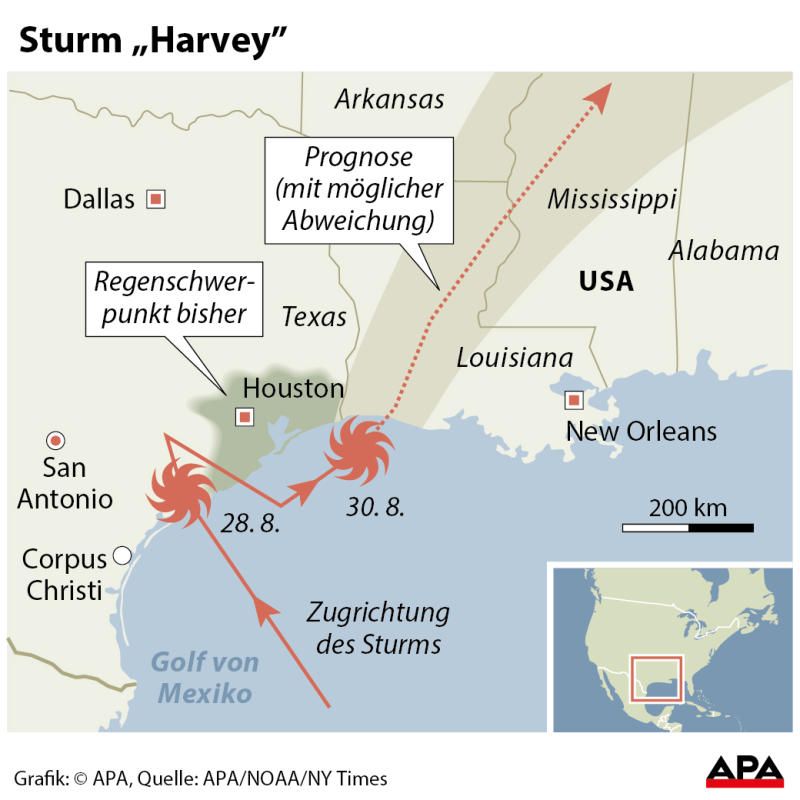 harvey4 harvey4