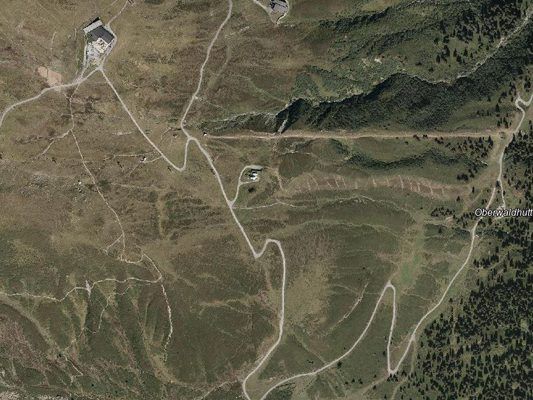 Der 19-Jährige war mit seinem Maountaincart unterwegs ins Tal.