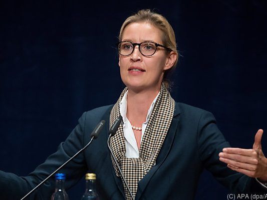 Alice Weidel hat eigene Sicht der Dinge