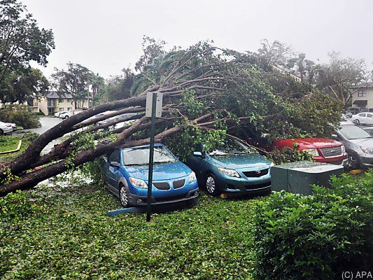 Verwüstungen in Miami