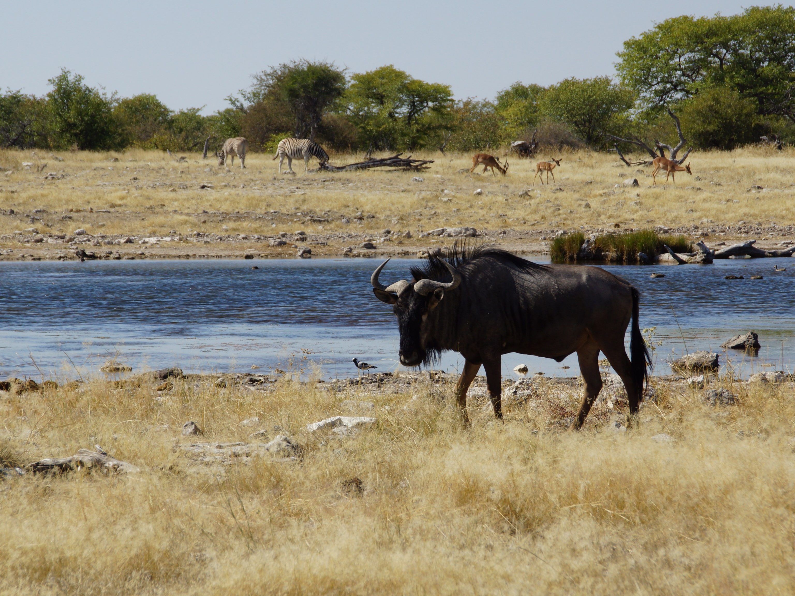 Namibia