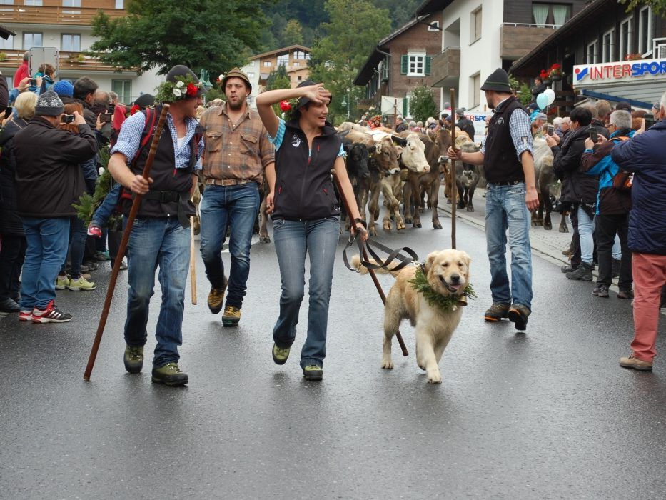 Mit großem Hallo wurden die Älpler auch dieses Jahr in Tschagguns begrüßt. Mit großem Hallo wurden die Älpler auch dieses Jahr in Tschagguns begrüßt.