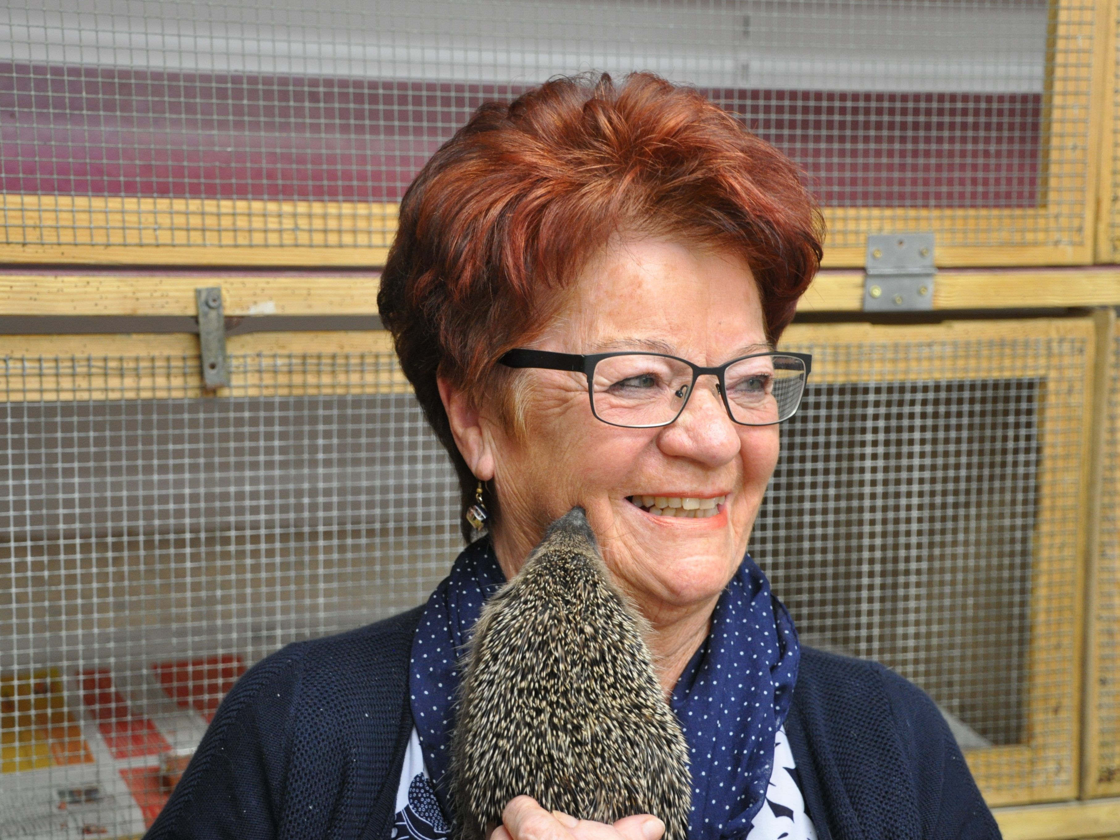 Igelmama Annelies in ihrer Igelstation Igelmama Annelies in ihrer Igelstation