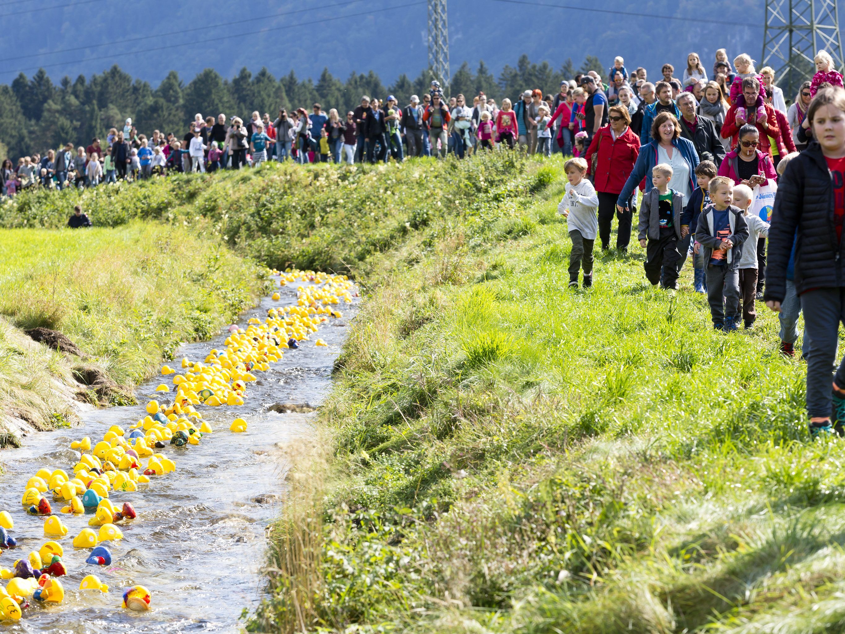Zahlreiche Besucher begleiteten ihre Enten Zahlreiche Besucher begleiteten ihre Enten