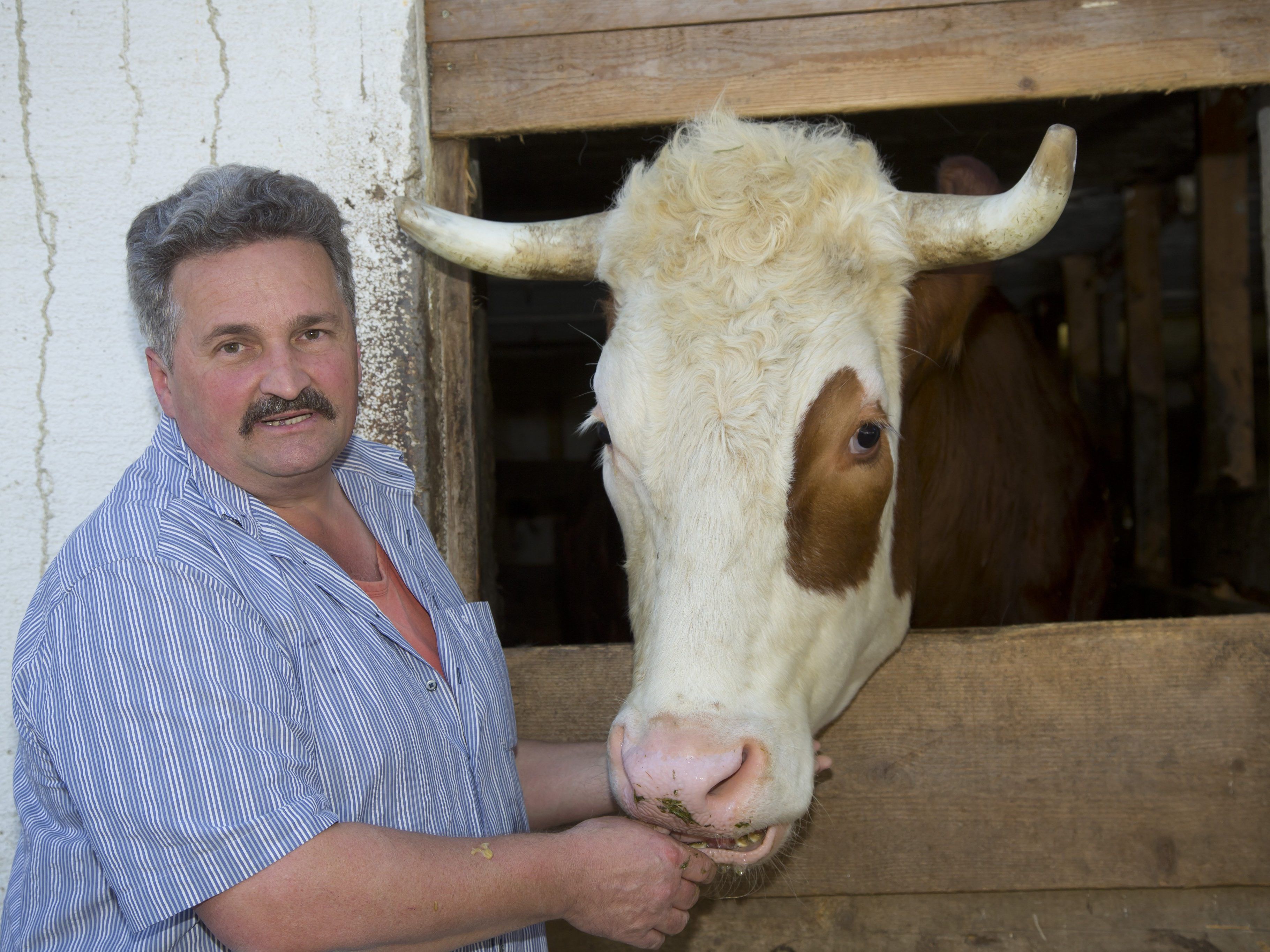 Betrieben wird die Einrichtung im Bregenzerwald von der Tierhilfe Vorarlberg, dessen Obmann Rudi Längle ist. Betrieben wird die Einrichtung im Bregenzerwald von der Tierhilfe Vorarlberg, dessen Obmann Rudi Längle ist.