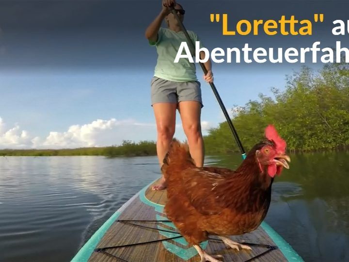 Loretta liebt Stand-Up-Paddling