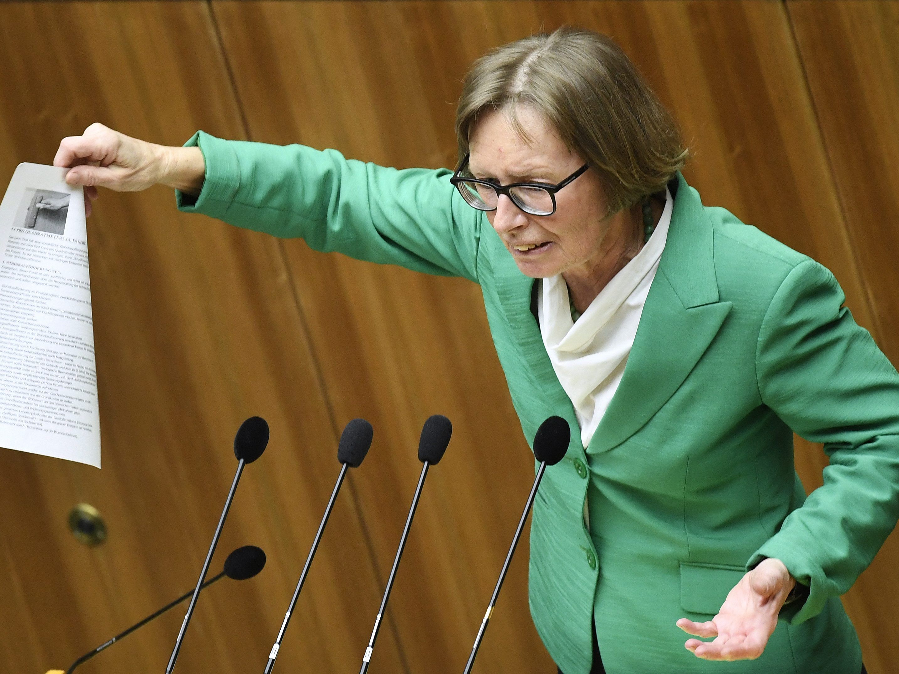 "Schwarz-Blau steht vor der Tür", begründete Rechnungshof-Sprecherin Gabriela Moser das Anti-Korruptionspaket. "Schwarz-Blau steht vor der Tür", begründete Rechnungshof-Sprecherin Gabriela Moser das Anti-Korruptionspaket.