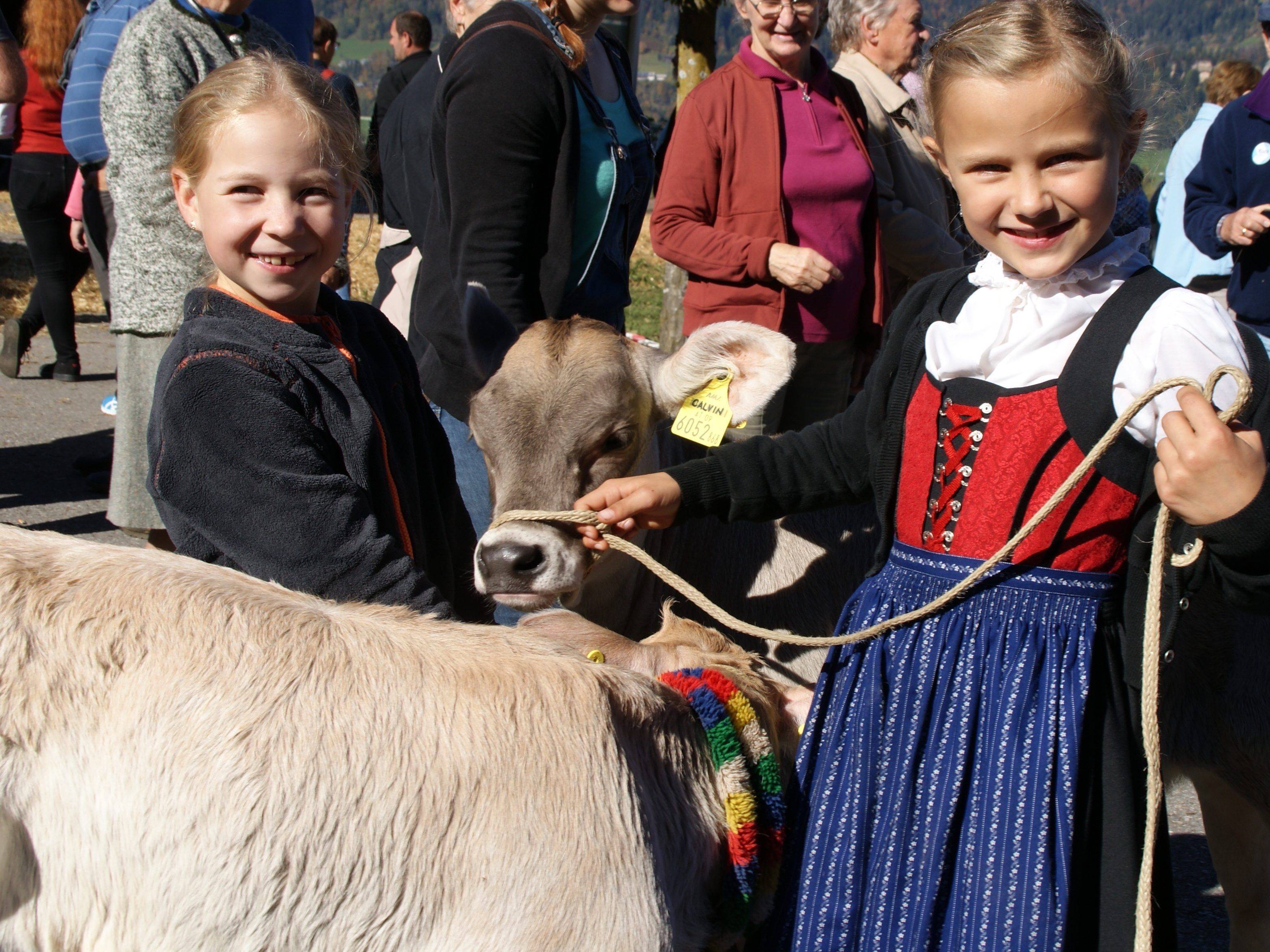 Im Fokus des Viehs: „Tierisch“ ging es kürzlich im Bucher Dorfzentrum zu. Im Fokus des Viehs: „Tierisch“ ging es kürzlich im Bucher Dorfzentrum zu.