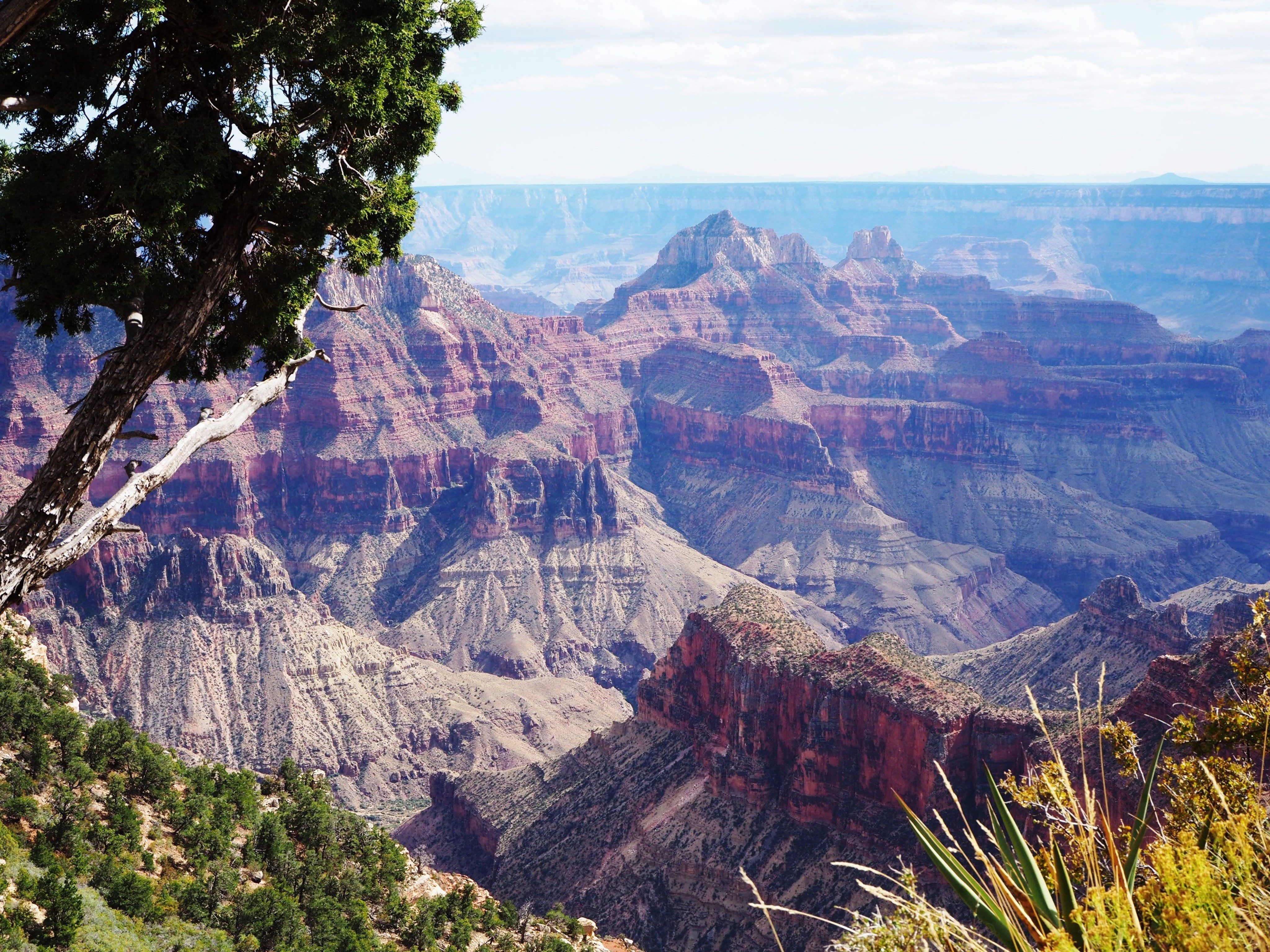 Herbst am Grand Canyon.