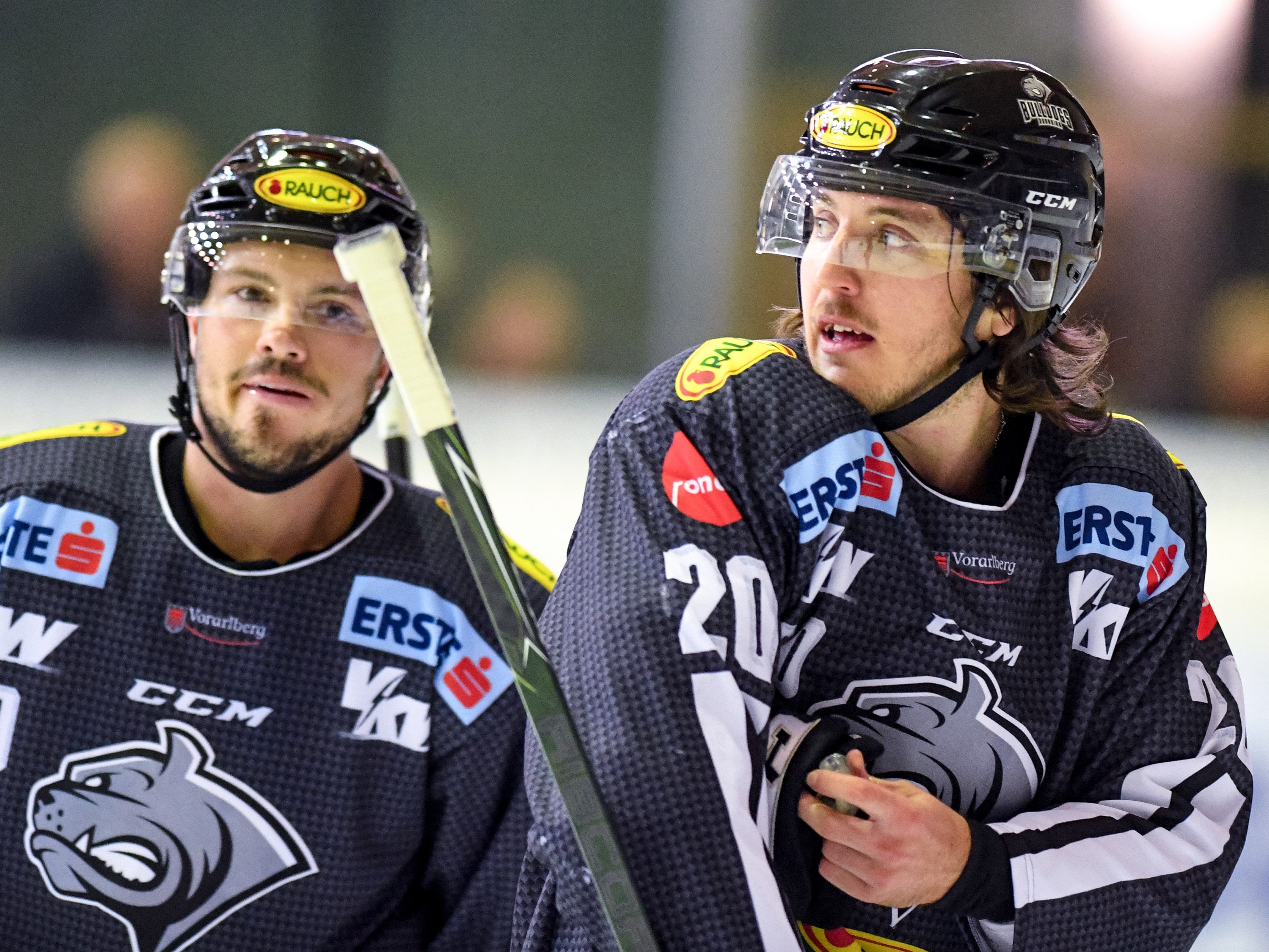 Die Bulldogs mussten sich dem KAC auswärts heute geschlagen geben. Die Bulldogs mussten sich dem KAC auswärts heute geschlagen geben.