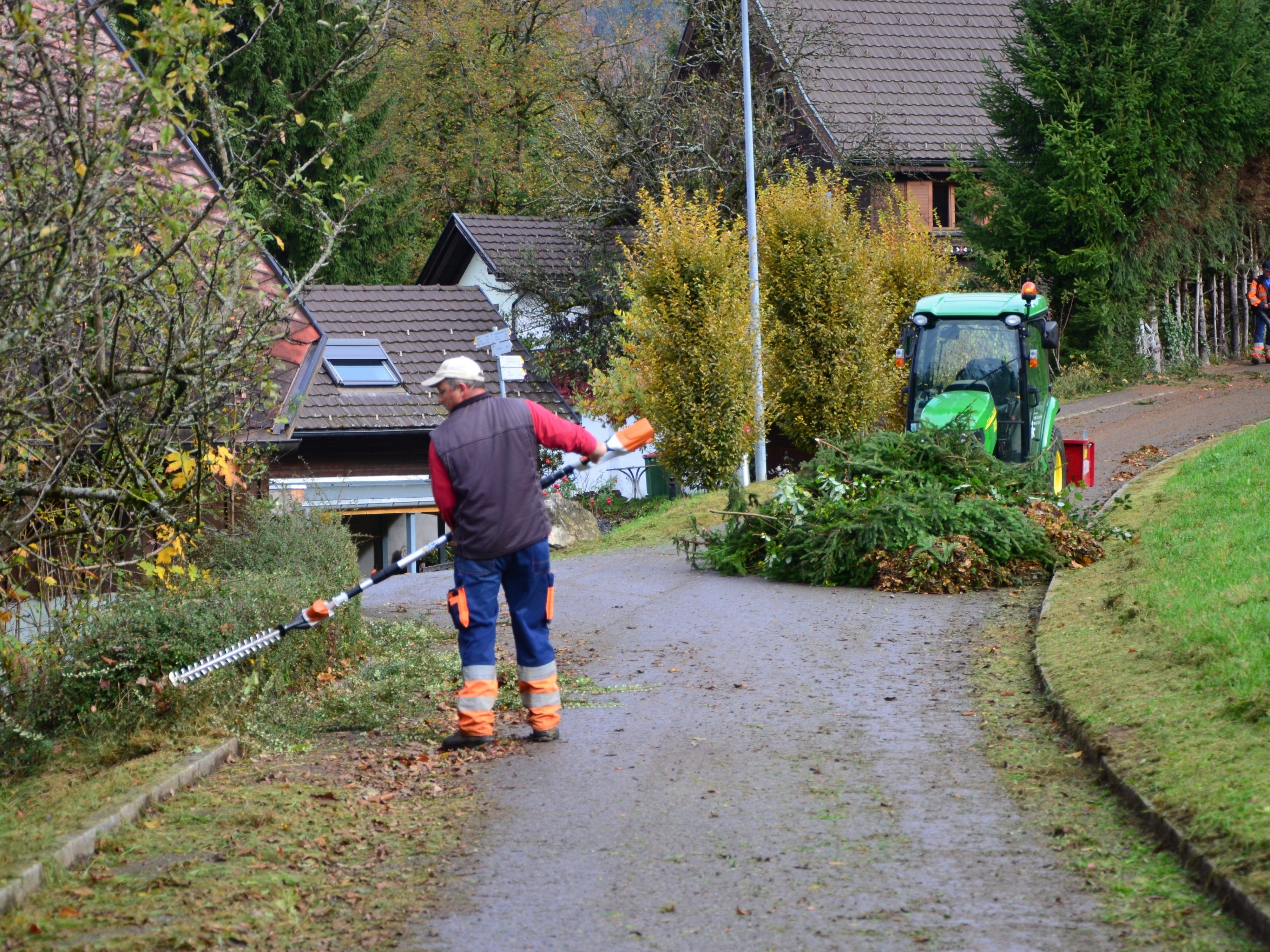 Straßenlaub