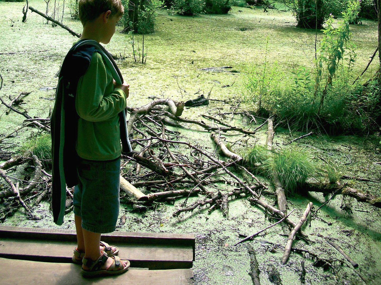 Symbolfoto