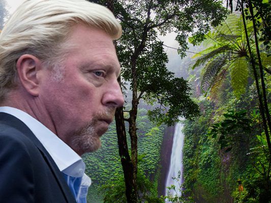 Sehen wir Boris Becker bald im Dschungel?