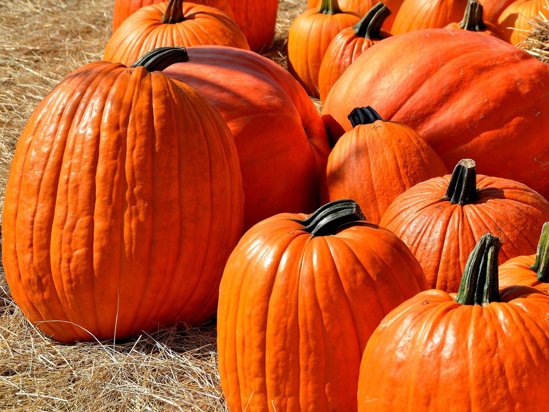Der "Pumpkin Spice"-Lufterfrischer führte zur Schul-Evakuierung.