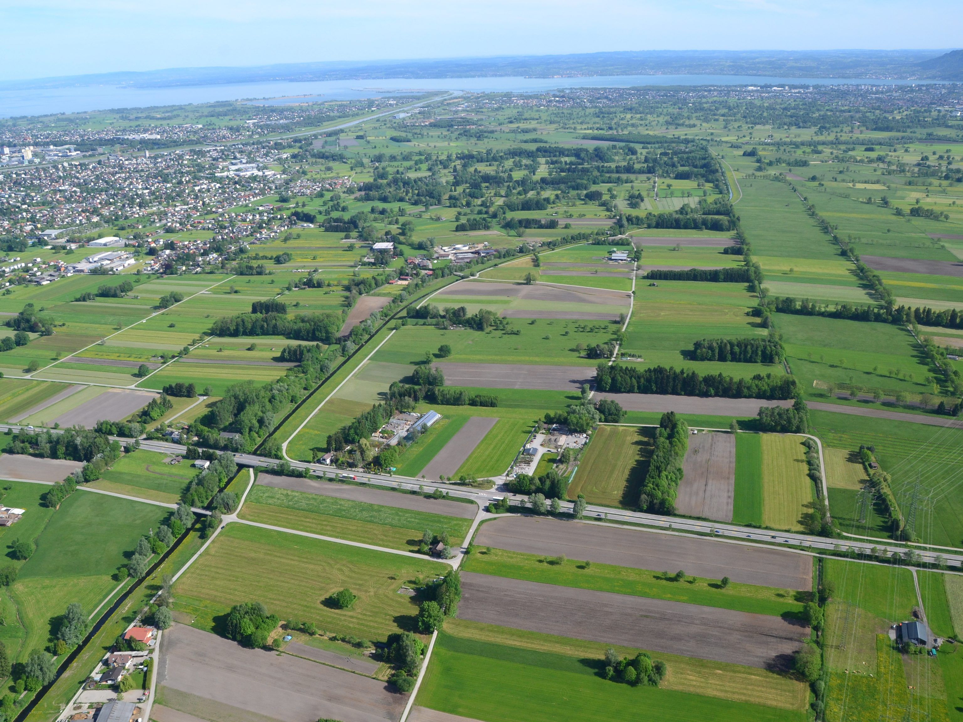 Naturjuwel und landwirtschaftliche Nutzfläche: Das Lustenauer Ried ist eine wertvolle Landschaft.