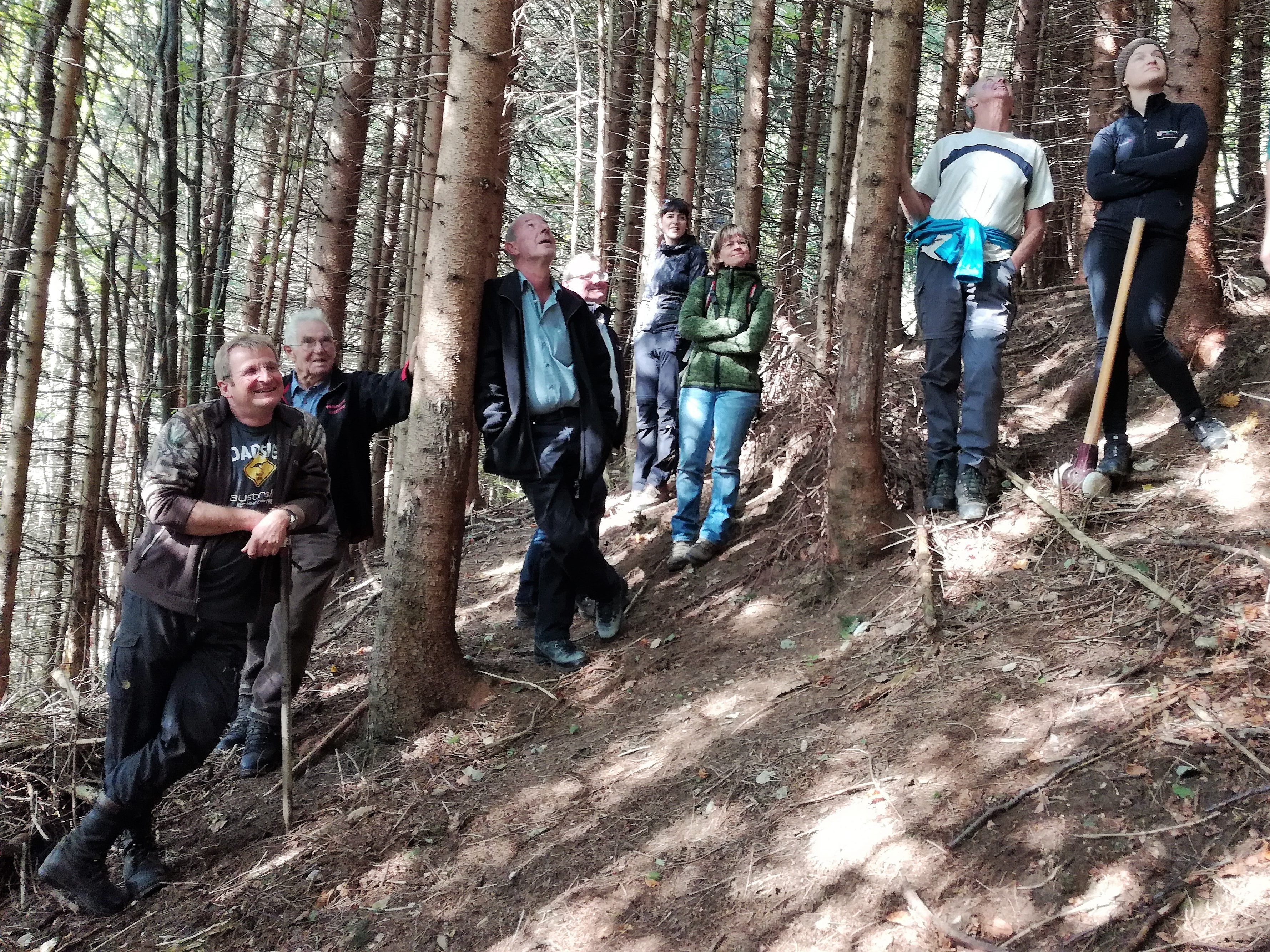„Would 2050“ lädt am 21. Oktober, 13.30 Uhr zur Waldbegehung in Egg.