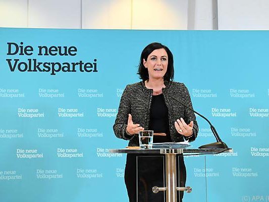 Elisabeth Köstinger könnte den Job übernehmen