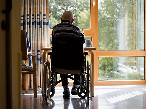 17 Prozent der Pflegebedürftigen in Heimen 17 Prozent der Pflegebedürftigen in Heimen