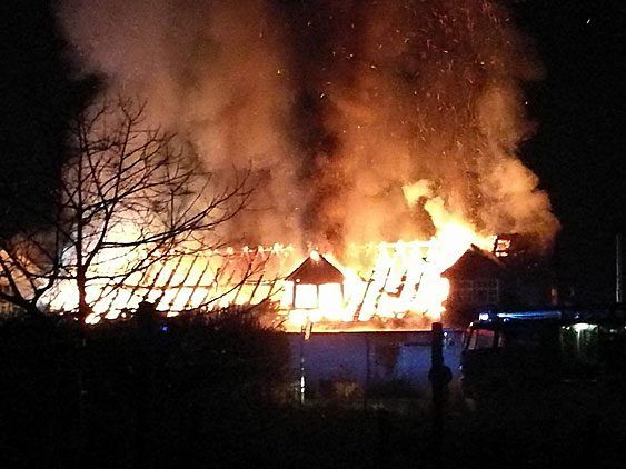 Der Dachstuhl des Industriegebäudes in Altach im Vollbrand.