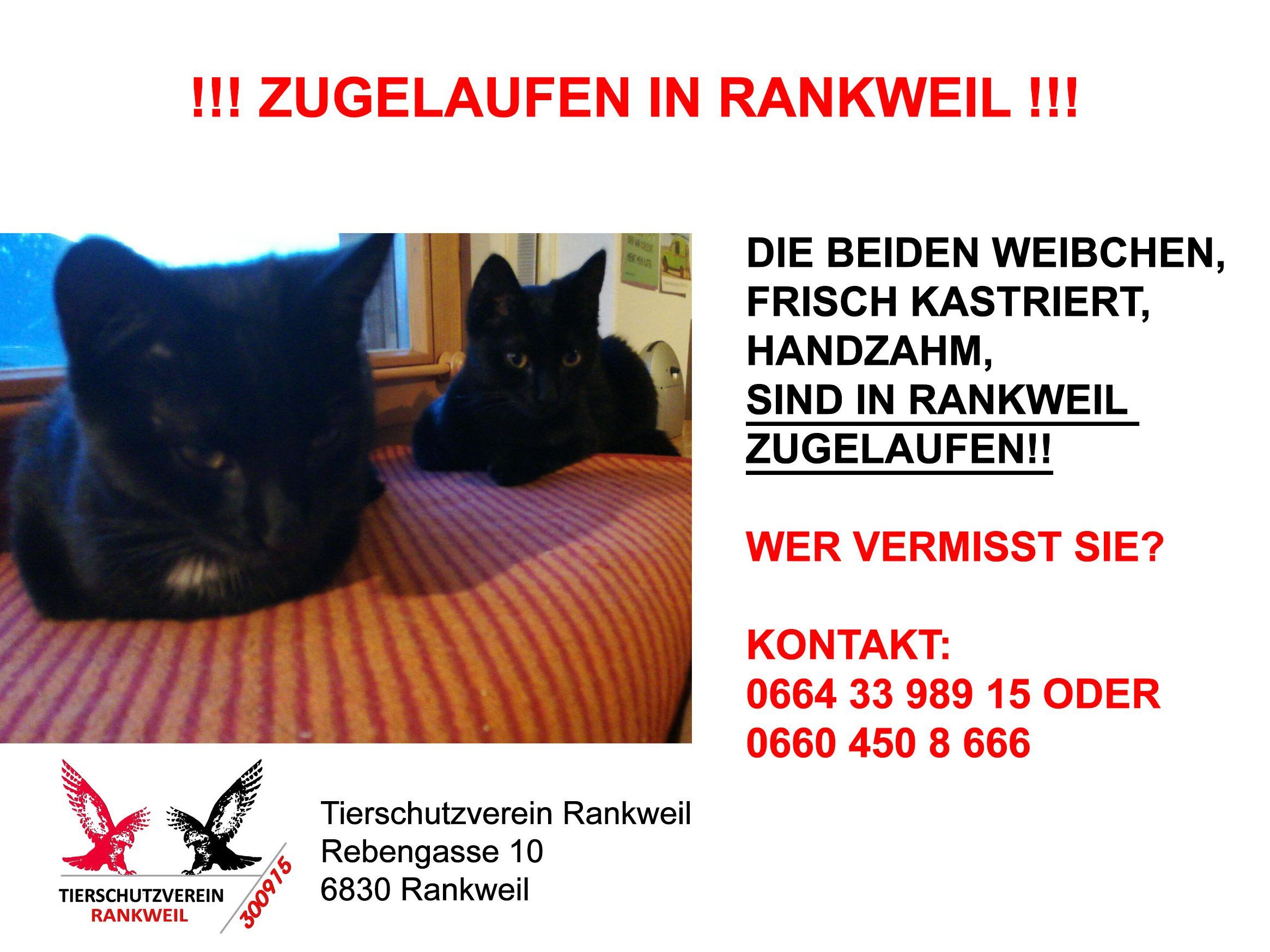 TSV Rankweil