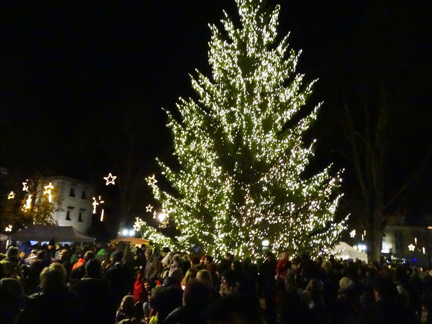 Der Hohenemser Weihnachtsbaum auf dem Schlossplatz trägt rund 25.000 Lichter. Der Hohenemser Weihnachtsbaum auf dem Schlossplatz trägt rund 25.000 Lichter.