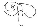 blogz blogz