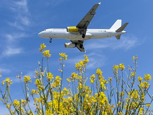 Vueling-Verträge sind laut Experten nicht schlechter als bestehende