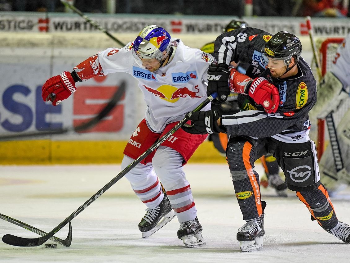 Die Bulldogs mussten eine bittere Heimniederlage gegen die Salzburger einstecken Die Bulldogs mussten eine bittere Heimniederlage gegen die Salzburger einstecken