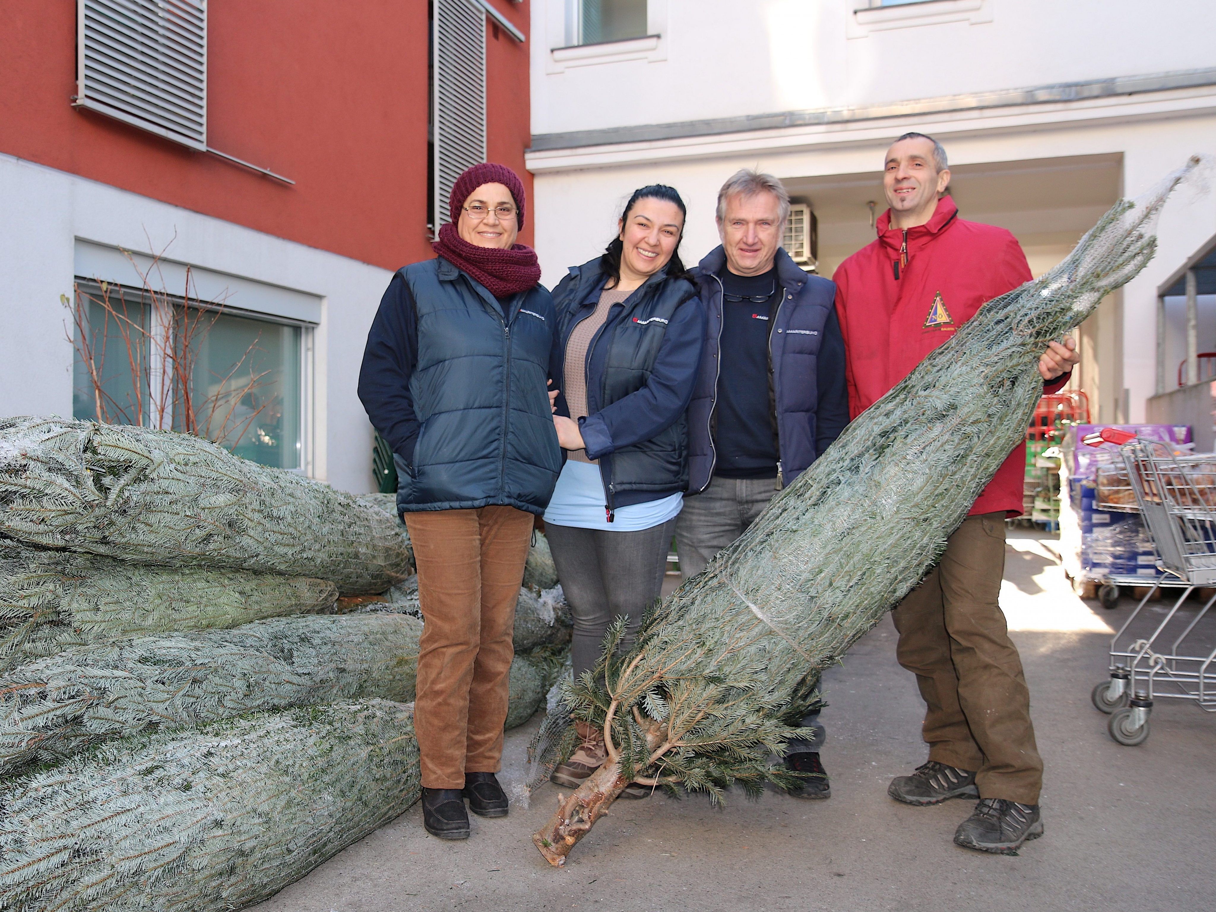 In den SOMA Sozialmärkten in Wien werden günstig Christbäume verkauft.