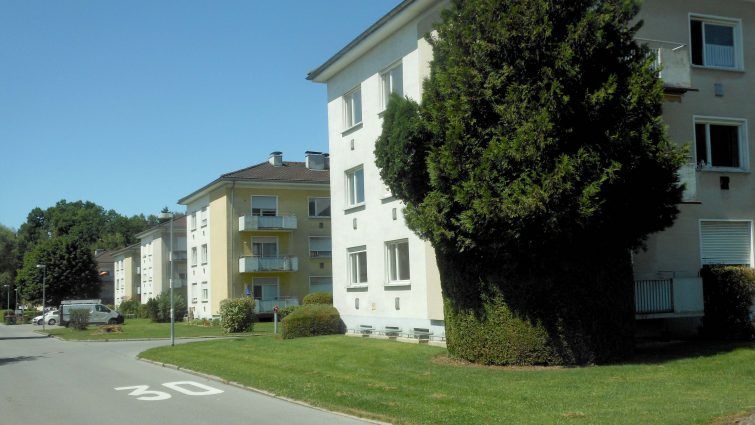 feldmoos-vogewosi-bregenz feldmoos-vogewosi-bregenz