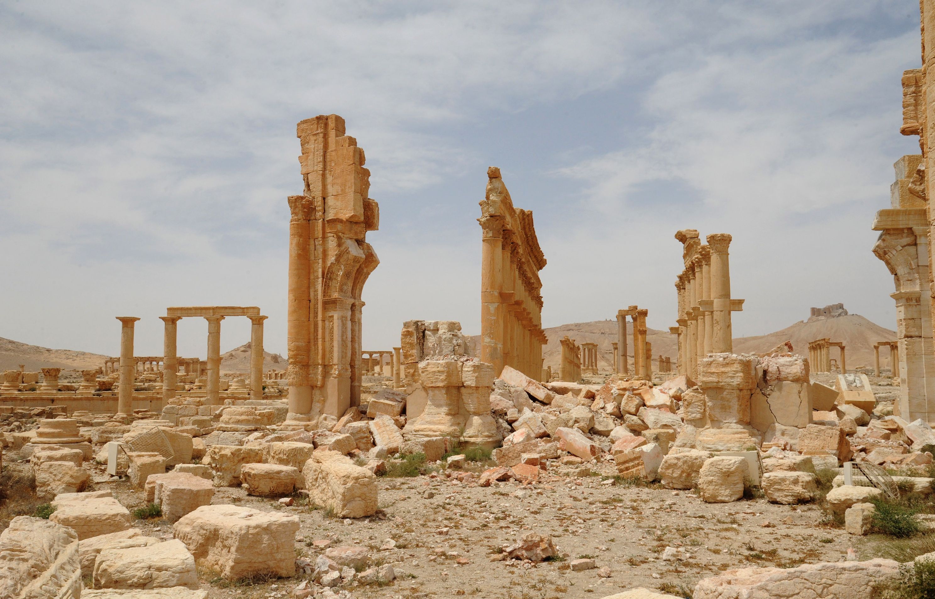 Palmyra