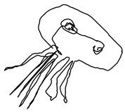 blogz blogz