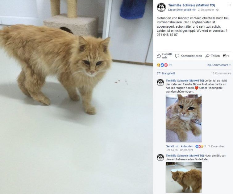 Screenshot/Facebook: Tierhilfe Mattwil