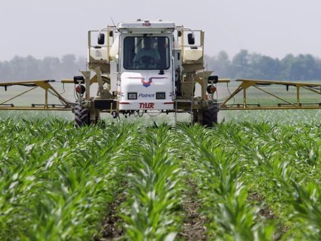 In Vorarlberg ist ein Glyphosat-Verbot geplant.