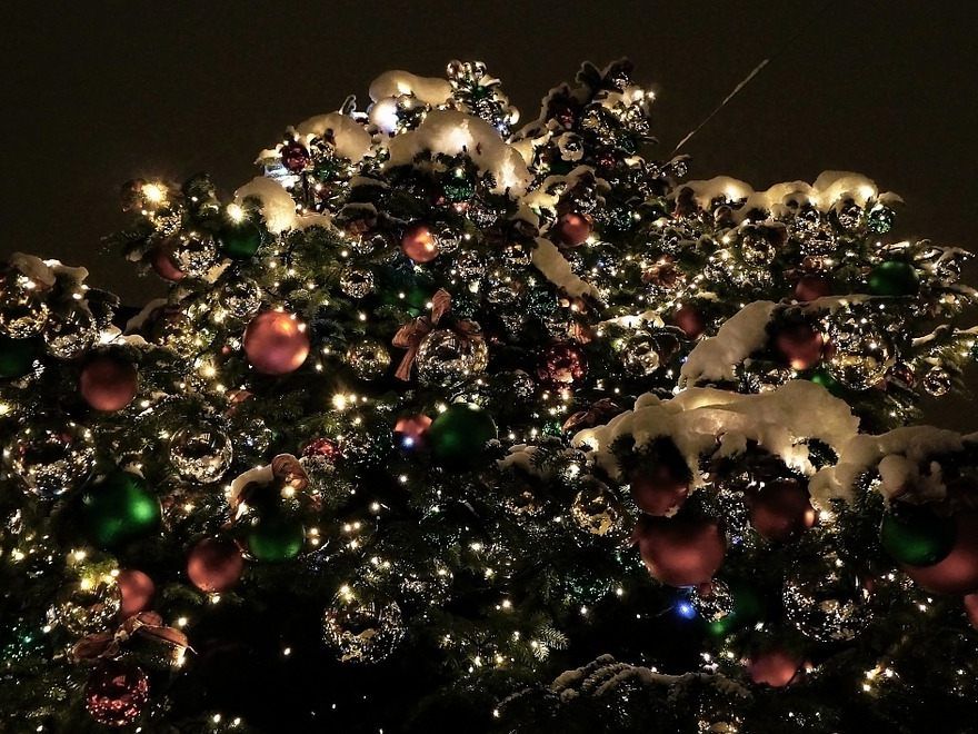 Die Grand Christmas Gala findet wieder in Wien statt.