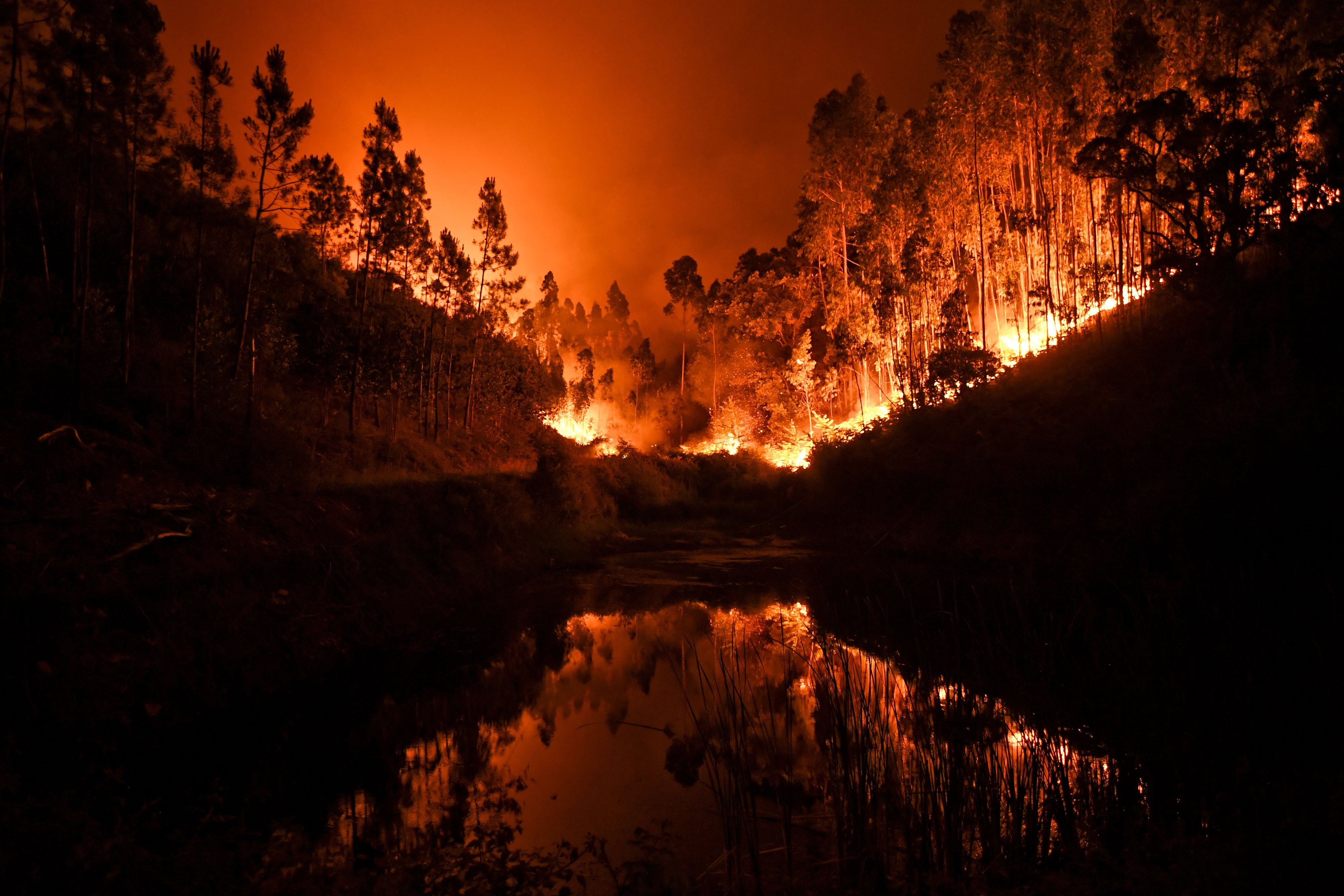 In Portugal wüteten im Juni Waldbrände. In Portugal wüteten im Juni Waldbrände.