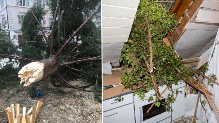 Sturmschäden im Ländle. (Bilder: Mathis, Feuerwehr) Sturmschäden im Ländle. (Bilder: Mathis, Feuerwehr)