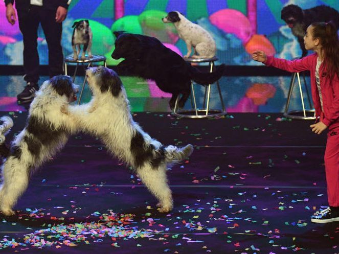 Neben dem Titel auch 100.000 Euro gewonnen