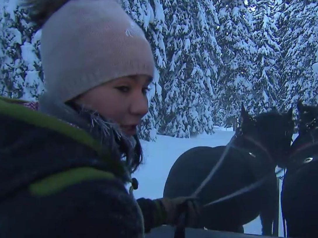 Anna ist die einzige Kutscherin unter den alten Haudegen in Lech am Arlberg.