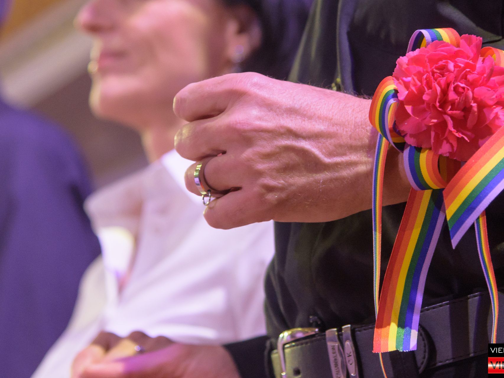 21. Regenbogenball - Austria Trend Parkhotel Schönbrunn - 27.01.2017 3/4