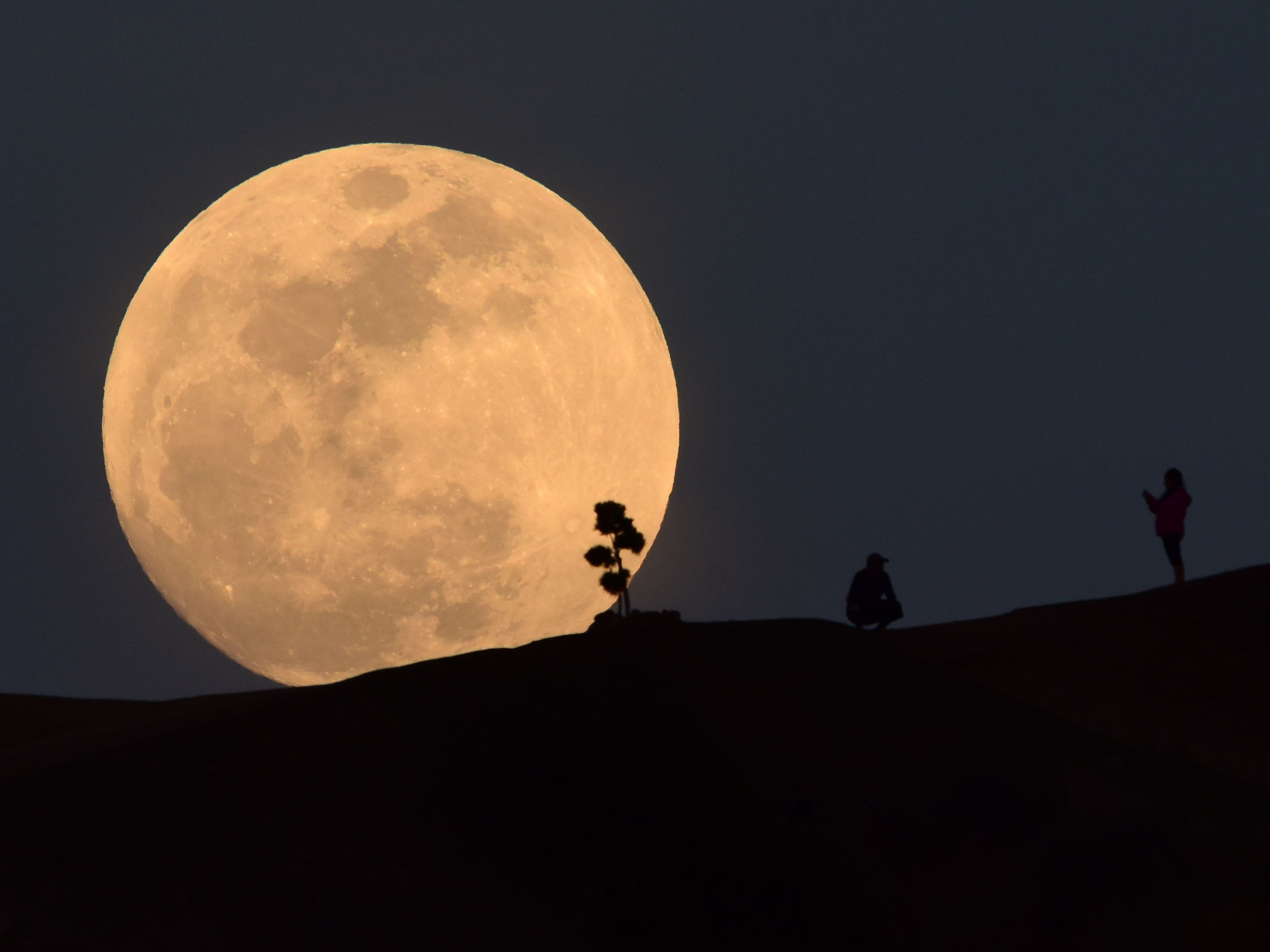 Mond-Spektakel in der letzten Januar-Nacht Mond-Spektakel in der letzten Januar-Nacht