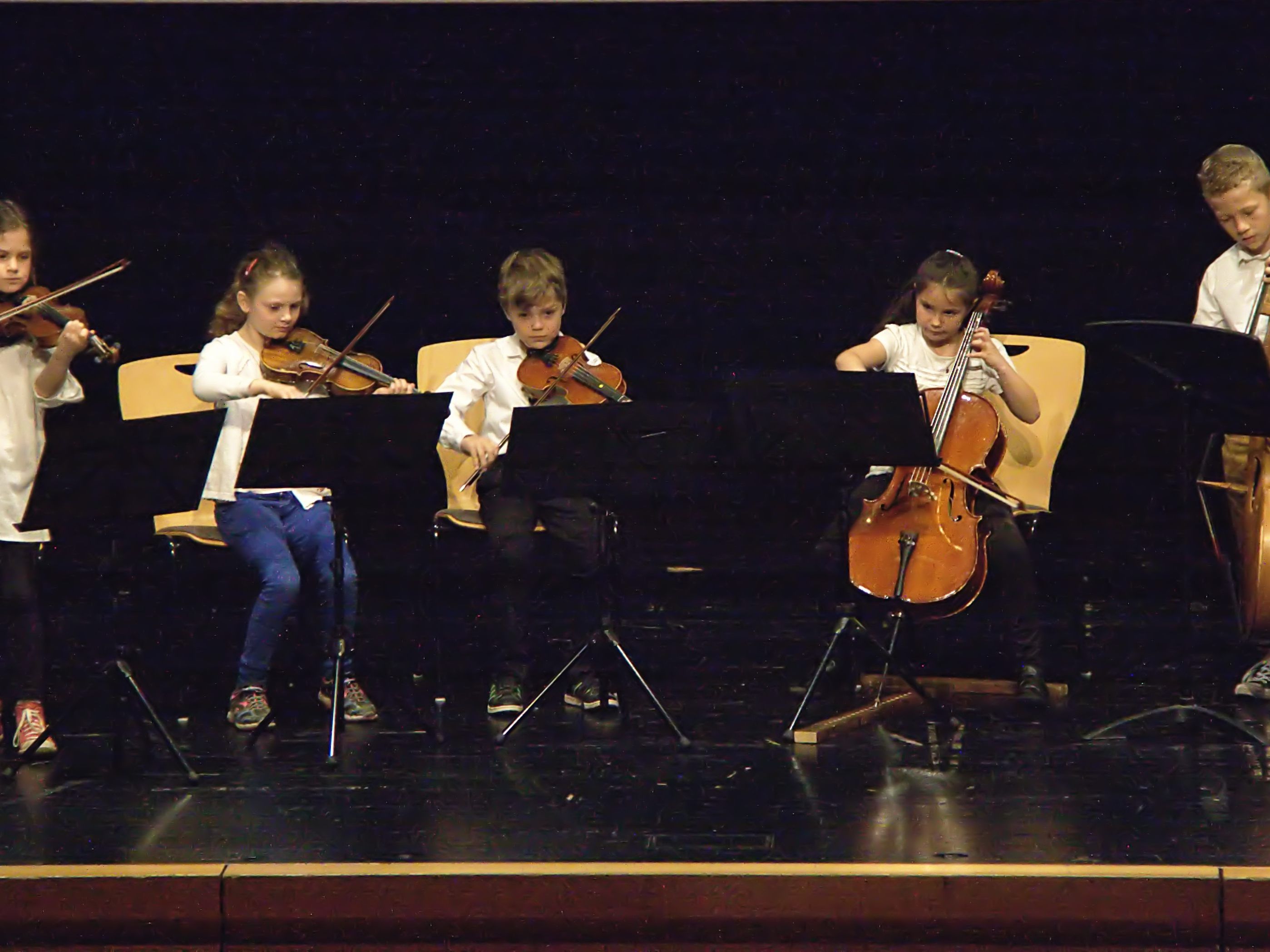 Die Rheintalische Musikschule bietet ab März wieder Schnupperkurse für Streicher an. Anmeldeschluss ist am 14. Februar.